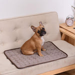 Load image into Gallery viewer, Dog Cooling Summer Mat
