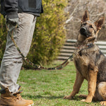 Load image into Gallery viewer, Strong Dog Military Tactical Collar
