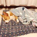 Load image into Gallery viewer, Flannel Thickened Dog Bed Mat
