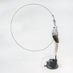 Load image into Gallery viewer, Handfeed Bird/Feather Pet Toys
