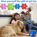 Load image into Gallery viewer, New Magic Deformation Flying Frisbee

