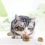 Load image into Gallery viewer, Pet Wall Stick-on Ball Toy
