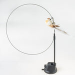 Load image into Gallery viewer, Handfeed Bird/Feather Pet Toys
