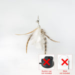Load image into Gallery viewer, Handfeed Bird/Feather Pet Toys

