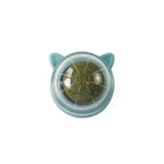 Load image into Gallery viewer, Pet Wall Stick-on Ball Toy
