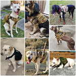 Load image into Gallery viewer, Military Large Pet Harness
