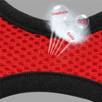 Load image into Gallery viewer, Peet Harness with Lead Leash
