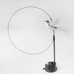 Load image into Gallery viewer, Handfeed Bird/Feather Pet Toys
