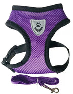 Load image into Gallery viewer, Peet Harness with Lead Leash
