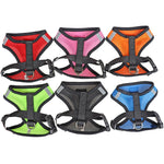 Load image into Gallery viewer, Peet Harness with Lead Leash

