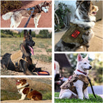 Load image into Gallery viewer, Military Large Pet Harness
