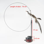 Load image into Gallery viewer, Handfeed Bird/Feather Pet Toys
