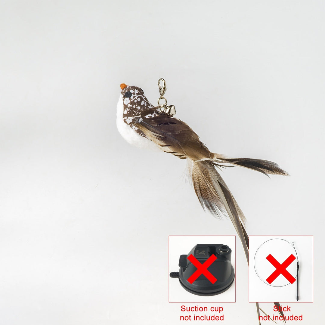 Handfeed Bird/Feather Pet Toys