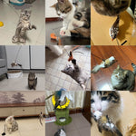 Load image into Gallery viewer, Handfeed Bird/Feather Pet Toys
