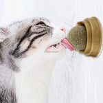 Load image into Gallery viewer, Pet Wall Stick-on Ball Toy
