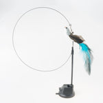 Load image into Gallery viewer, Handfeed Bird/Feather Pet Toys
