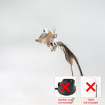 Load image into Gallery viewer, Handfeed Bird/Feather Pet Toys
